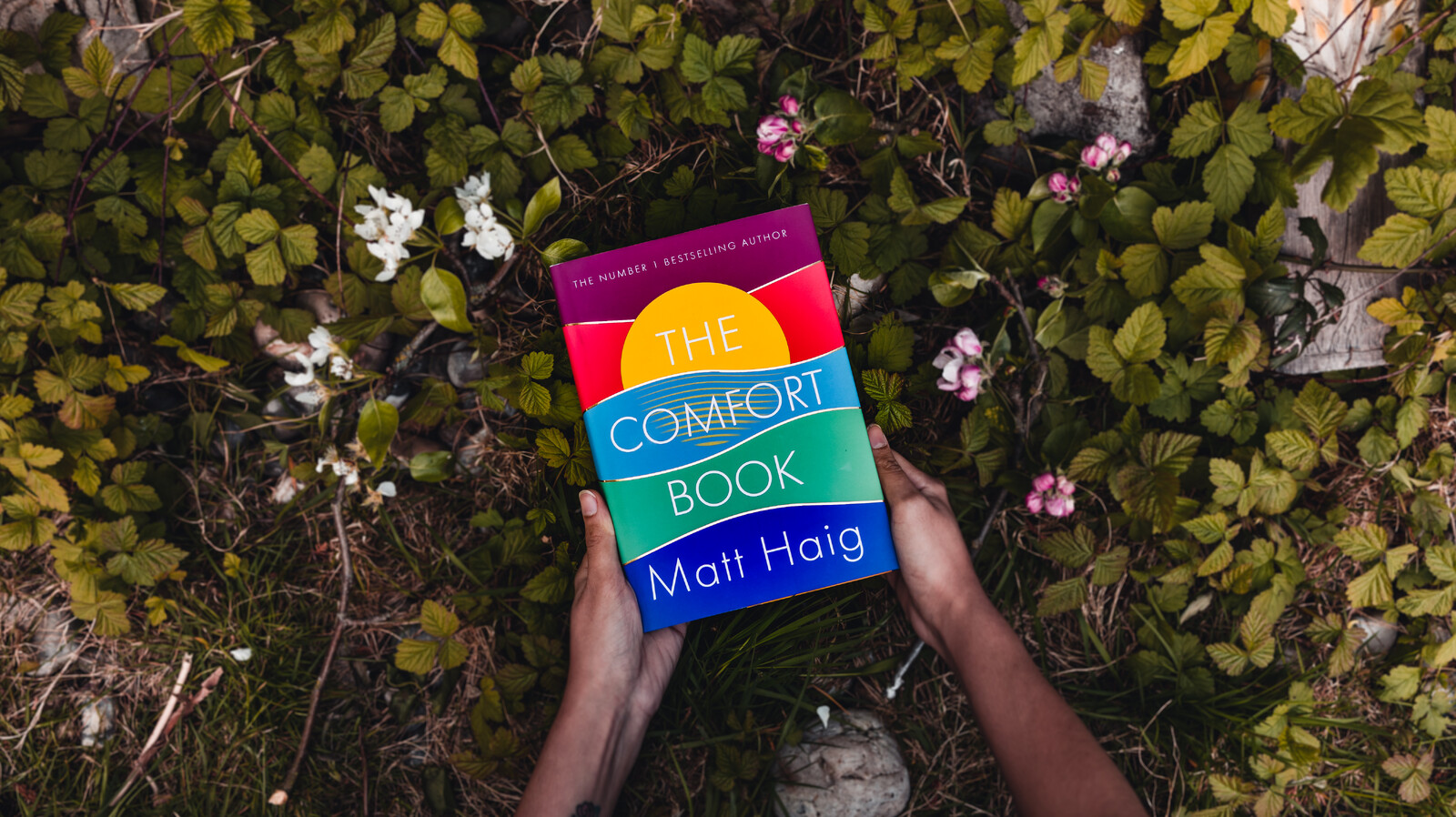 The Comfort Book by Matt Haig
