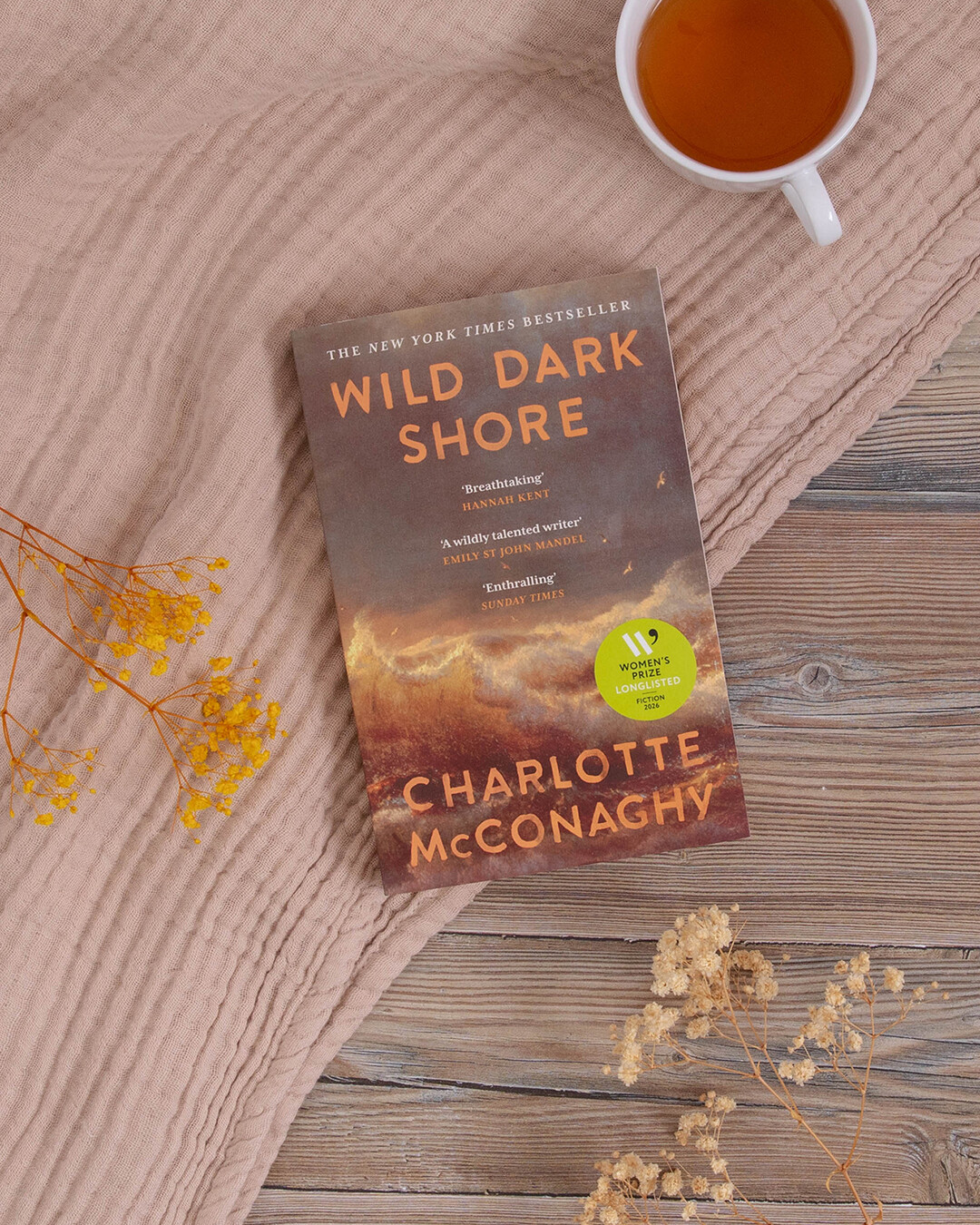 Wild, Dark Shore by Charlotte McConaghy